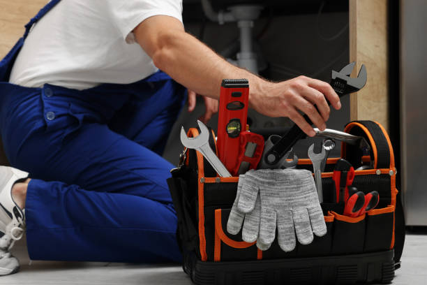 Best Local Plumber Services  in Dash Point, WA